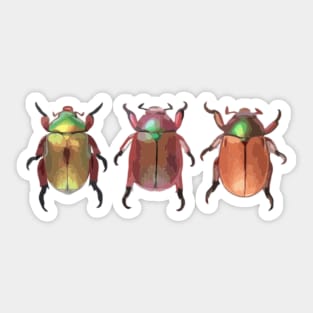 3 Christmas Beetles Digital Painting Sticker